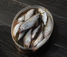 Тугунок соленомороженный 0,6 - 0,7 кг