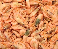 Креветка северная в/м 250+(коробка 5кг)