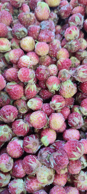 Фото Клубника дикая луговая свежемороженая (12кг коробка)